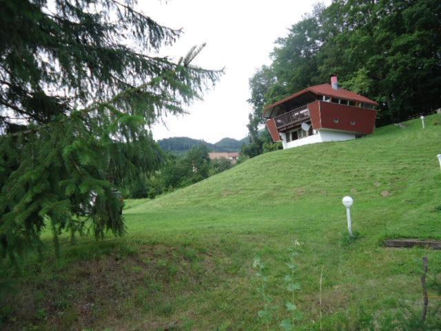 Chalet Contemporain Plein Nature Altenbach Exteriér fotografie