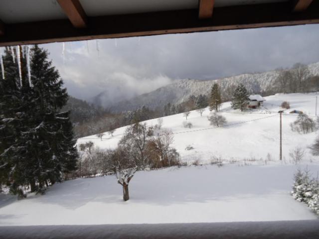 Chalet Contemporain Plein Nature Altenbach Exteriér fotografie